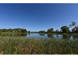 Property photo 49 - Tillable, Pasture, Recreational, Hunting and Fishing Property  